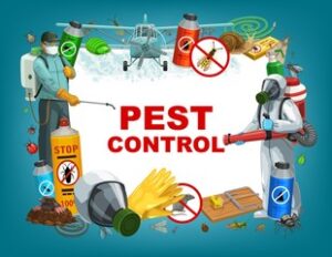 pest control